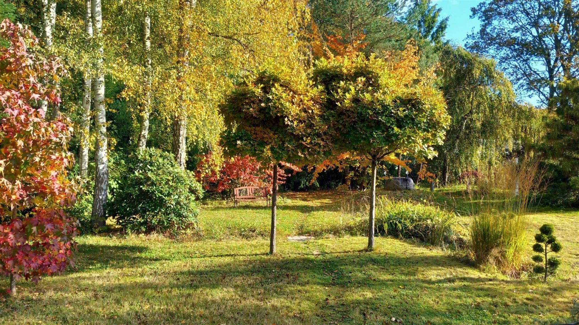 Ostsee Hotel-Pension An Der Lindenallee Бад-Доберан Экстерьер фото